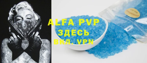 стафф Надым