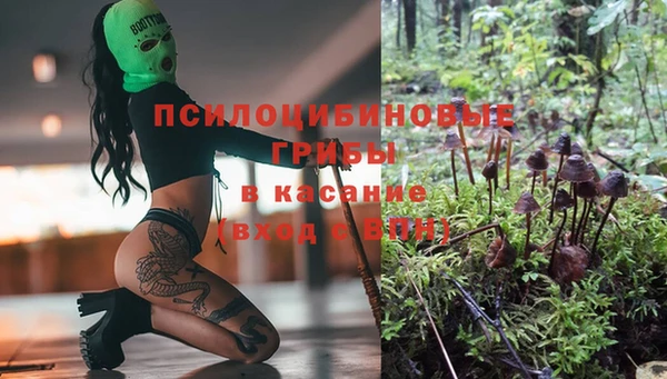 гидропоника Наволоки