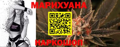 крисы Гай