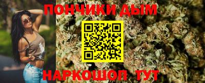 крисы Гай
