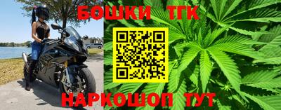 крисы Гай