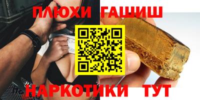 крисы Гай
