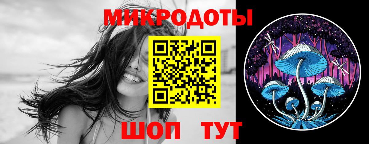 Ишим  Псилоцибиновые грибы Psilocybine cubensis  Вход с VPN 